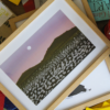 the-white-bloom-frame