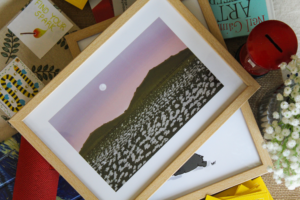the-white-bloom-frame