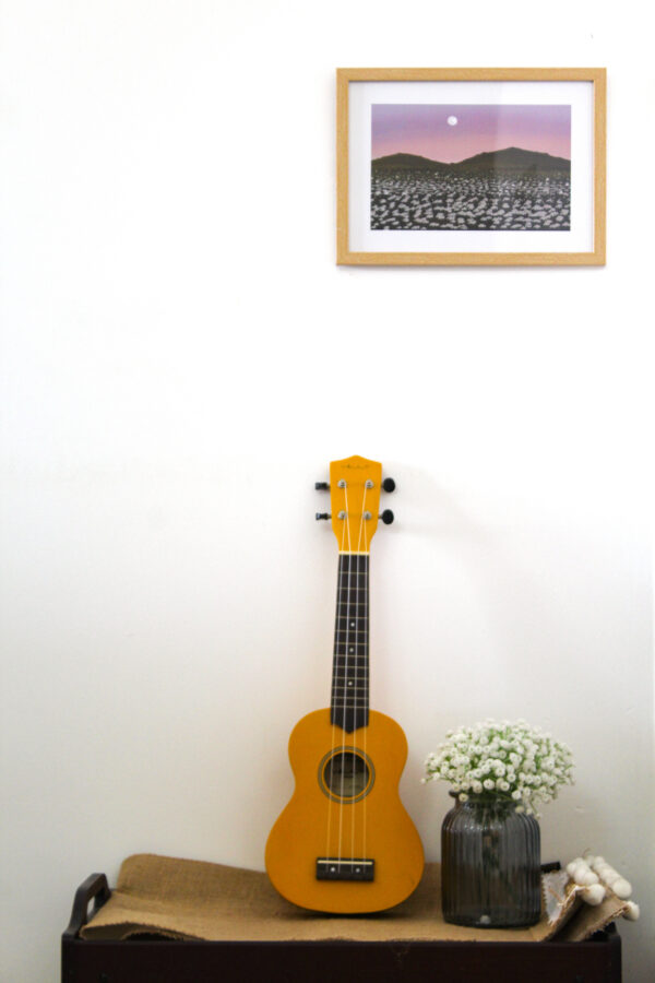 the-white-bloom-frame-long